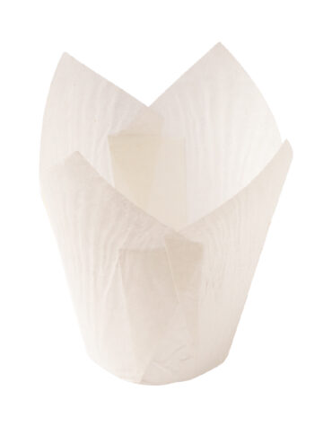 Pirottini Tulip Bianco linea Bakery