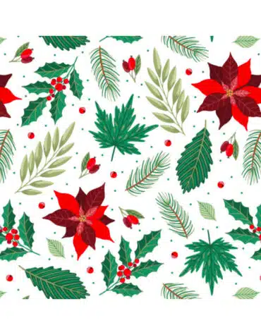 Scatola con inserto per Cupcakes e dolcetti Stella di Natale