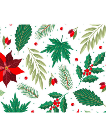 Scatola Happy per dolcetti Stella di Natale